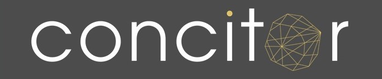 Concitor Transformation Consulting Group 